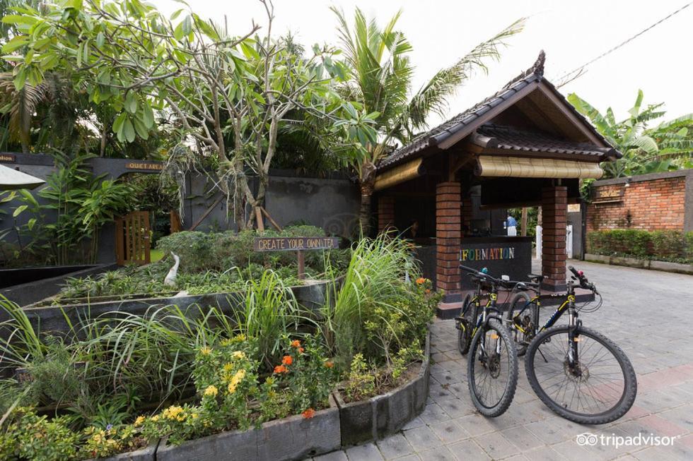 Ngeluwungan Boutique Hostel 坎古 外观 照片
